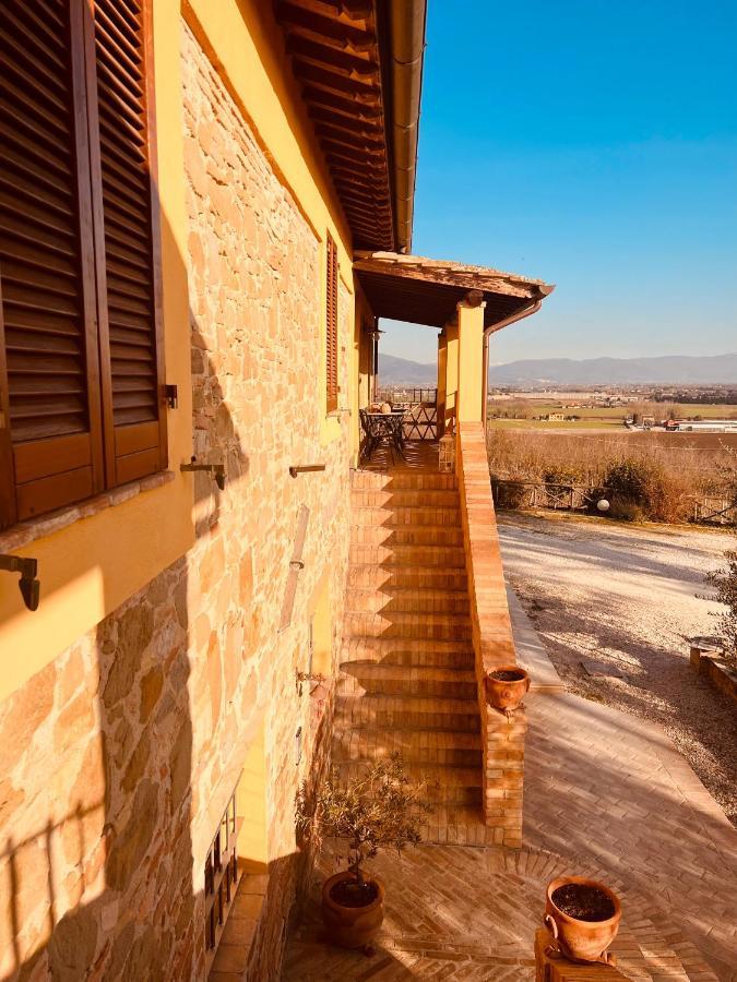 Agriturismo Il Divin Casale Torgiano Dış mekan fotoğraf