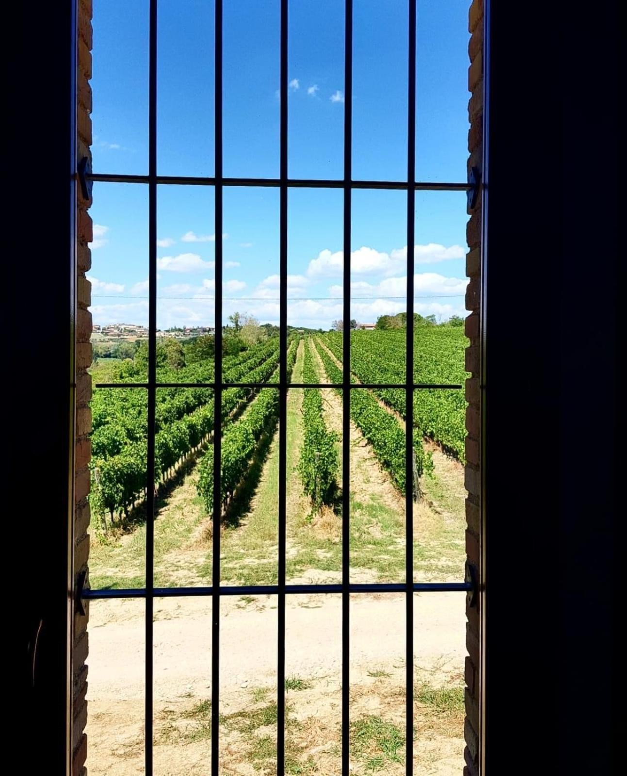 Agriturismo Il Divin Casale Torgiano Dış mekan fotoğraf