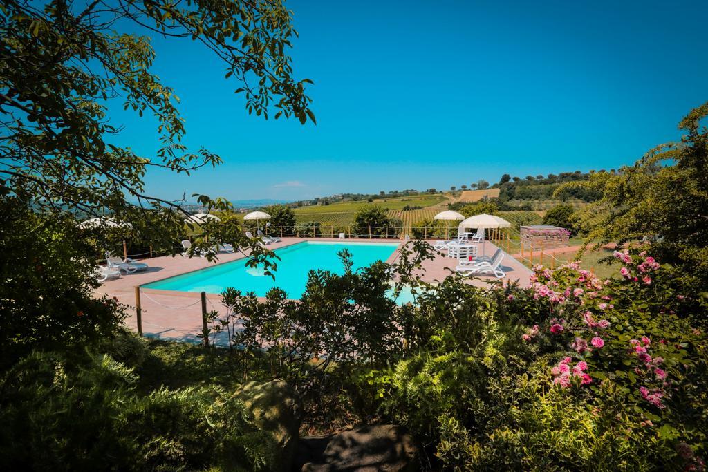 Agriturismo Il Divin Casale Torgiano Dış mekan fotoğraf